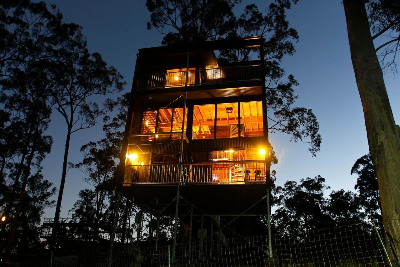 Gold Coast Tree Neranwood