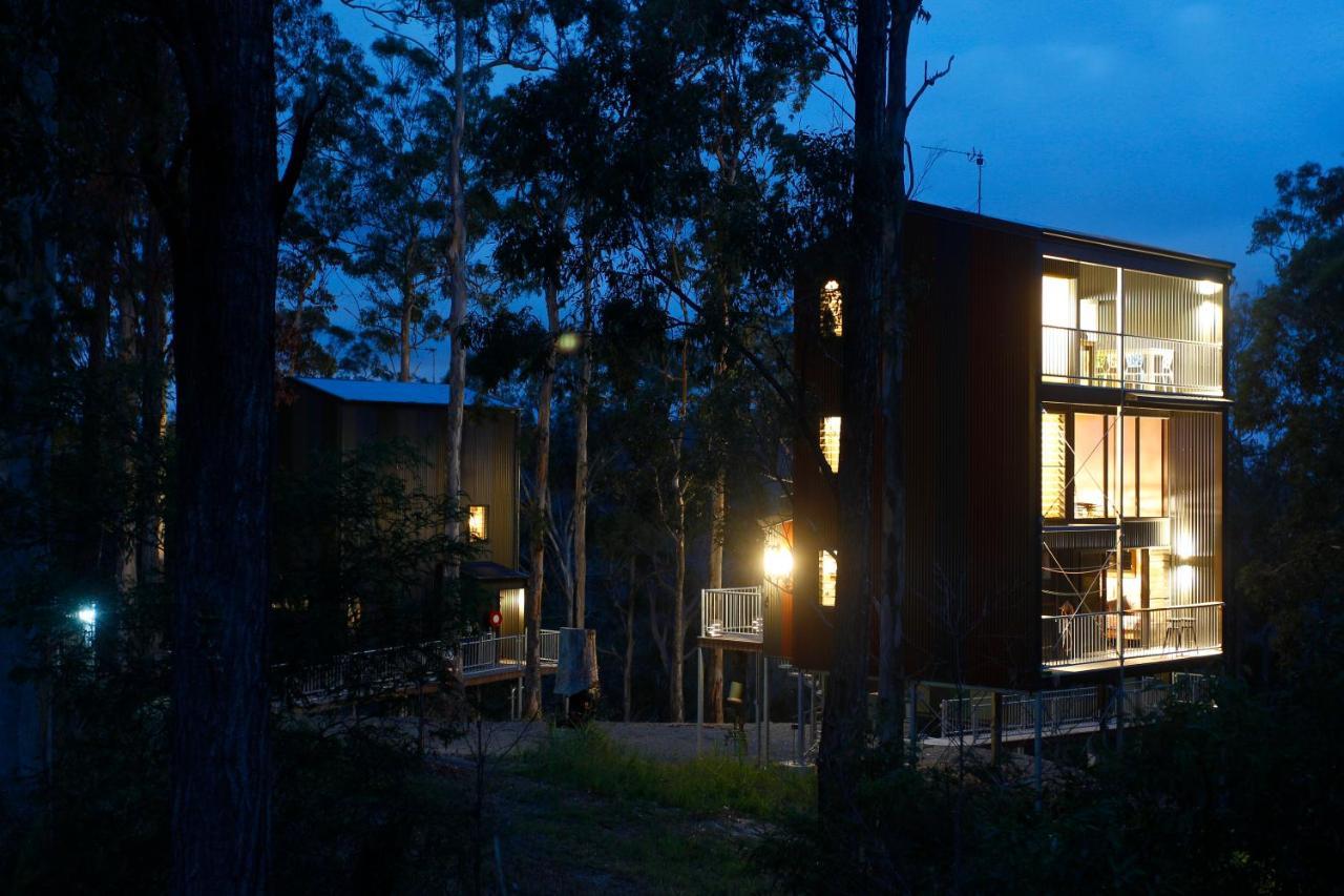 Lodge Gold Coast Tree Neranwood
