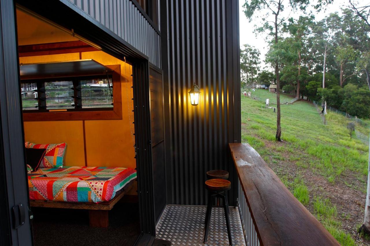 Lodge Gold Coast Tree