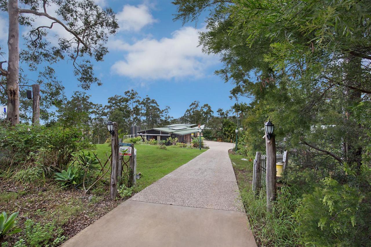 Lodge Gold Coast Tree