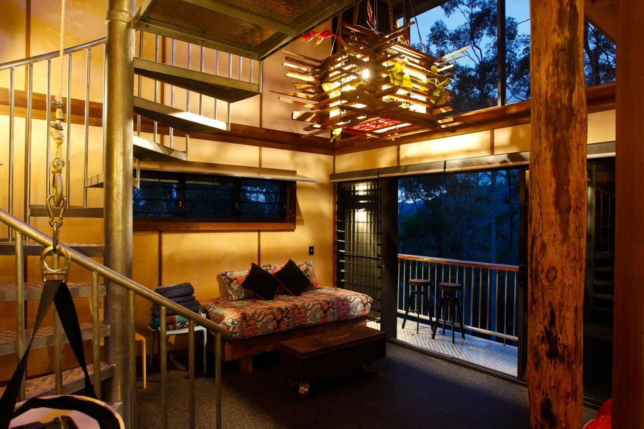 Lodge Gold Coast Tree