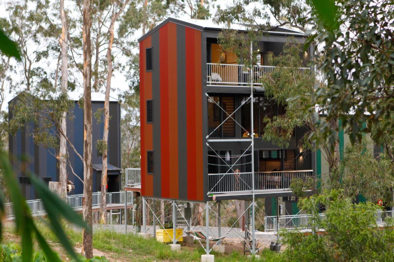 Gold Coast Tree Neranwood