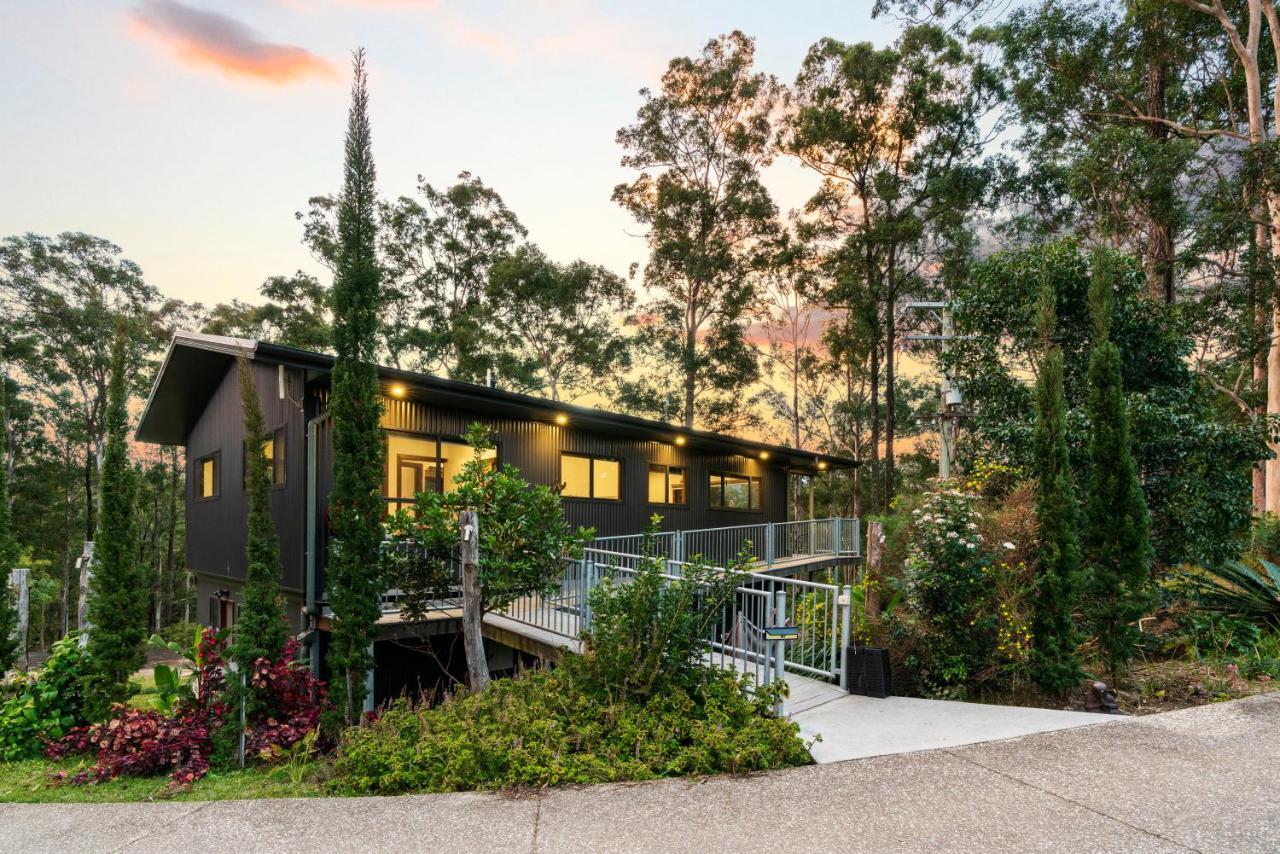Lodge Gold Coast Tree *