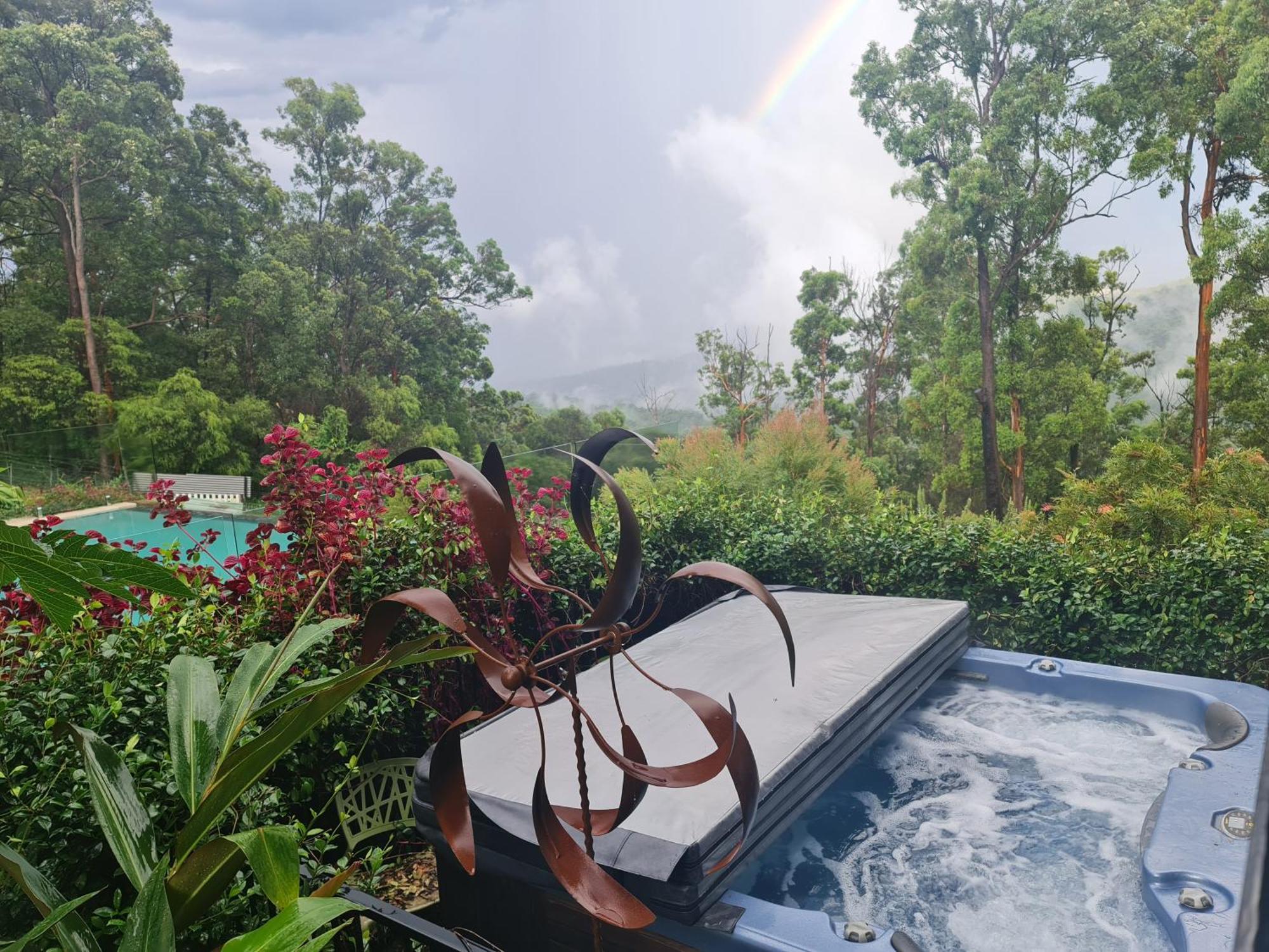 Lodge Gold Coast Tree