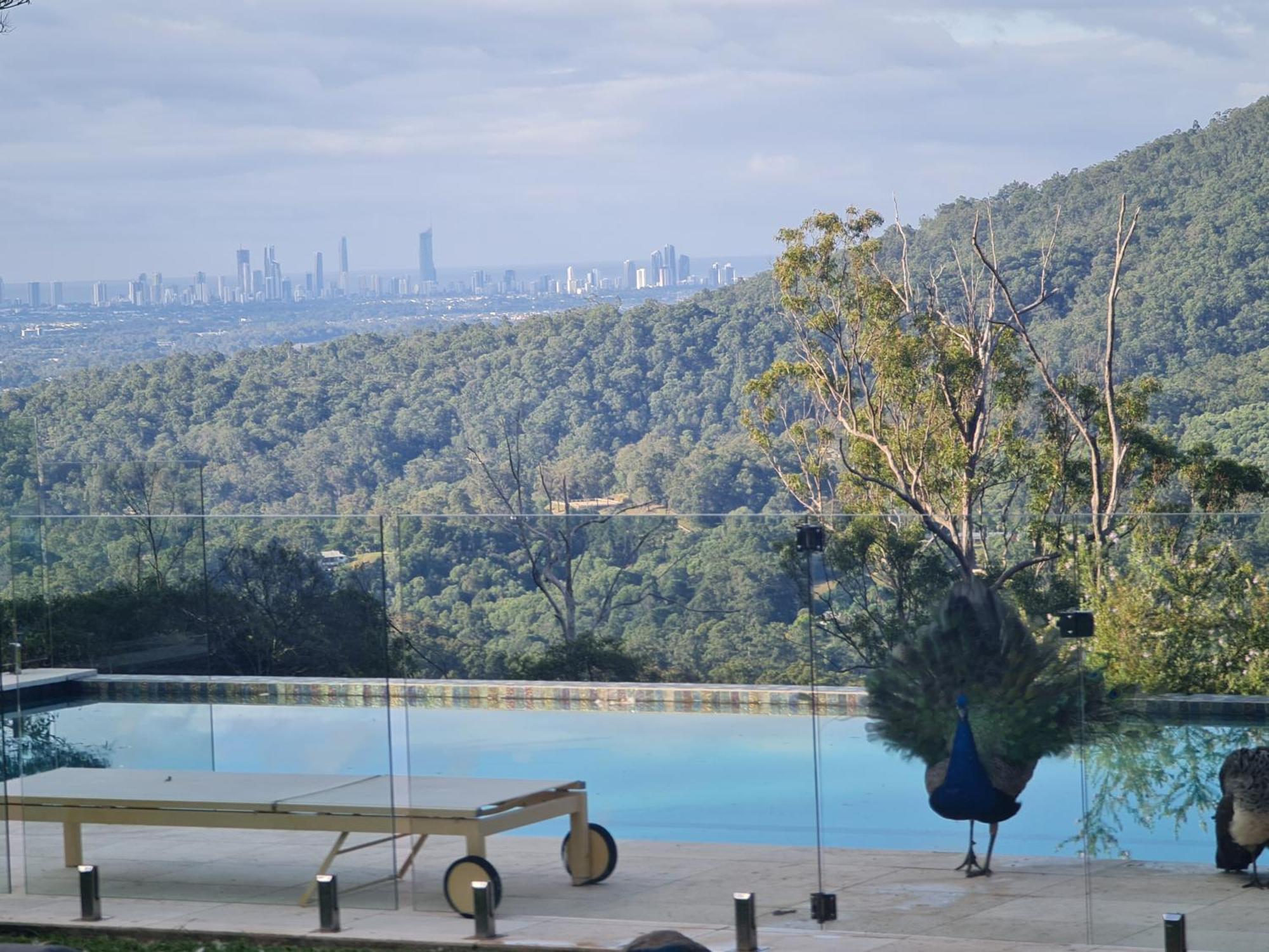 Gold Coast Tree Lodge *