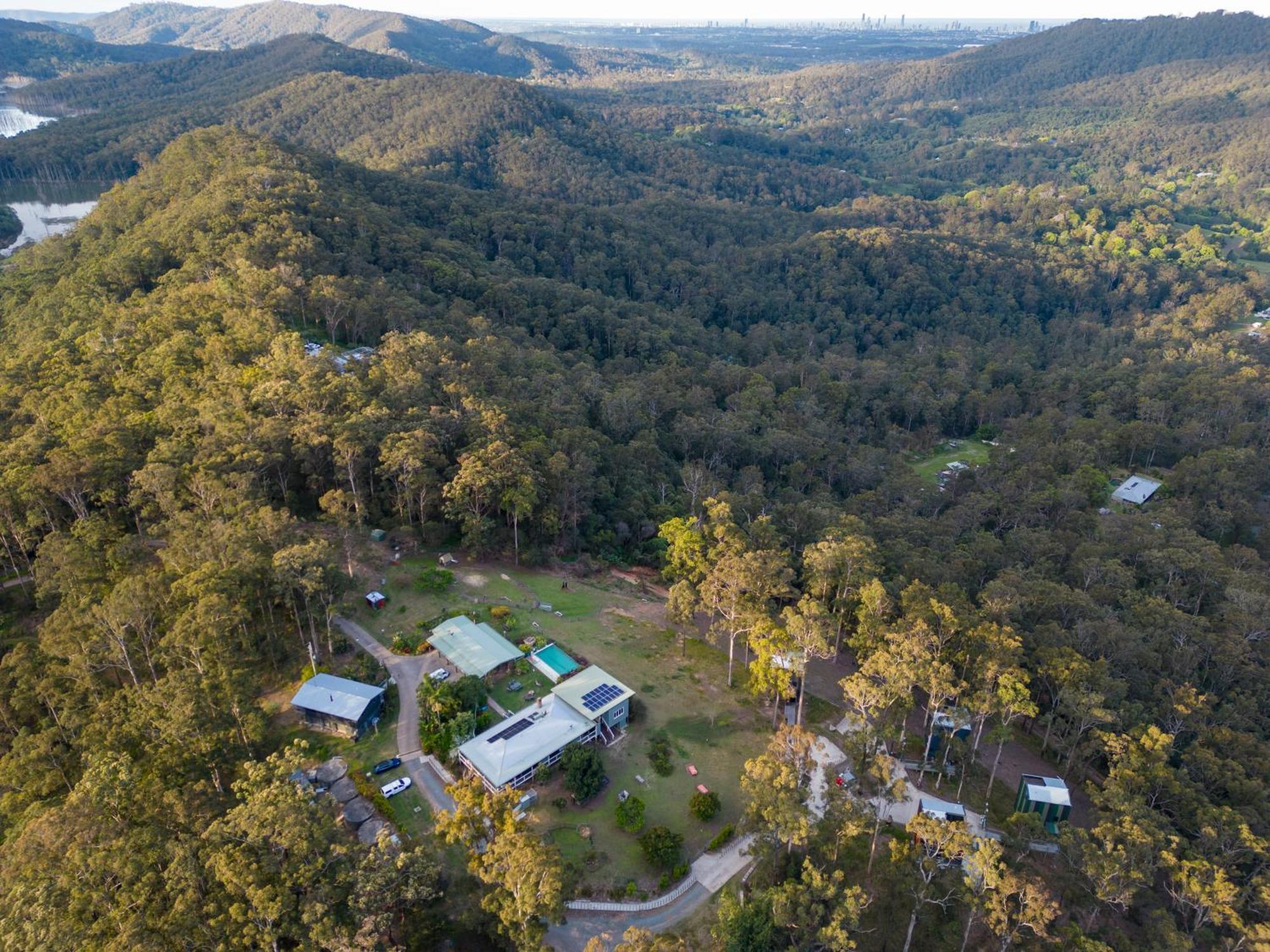 Lodge Gold Coast Tree *